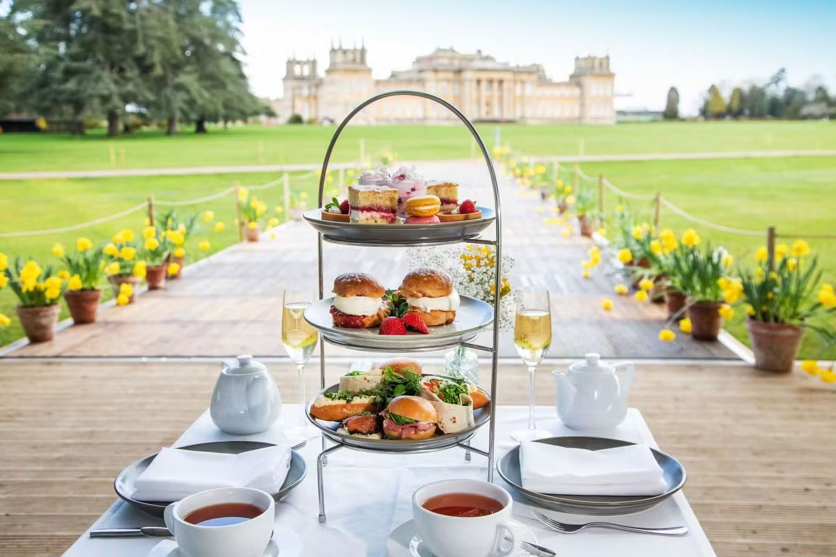 Visit to Blenheim Palace and Afternoon Tea for Two